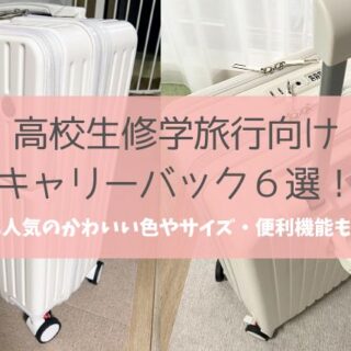 クリアランス 修学 旅行 用 キャリー バッグ