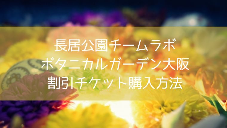 長居公園チームラボ大阪割引チケット