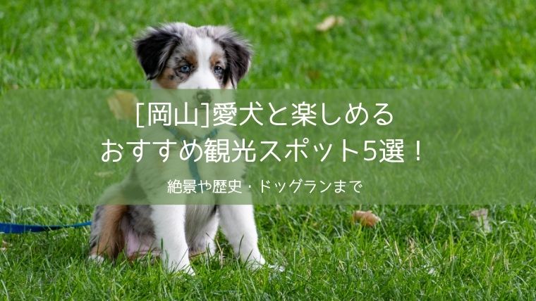 犬と楽しめる場所岡山