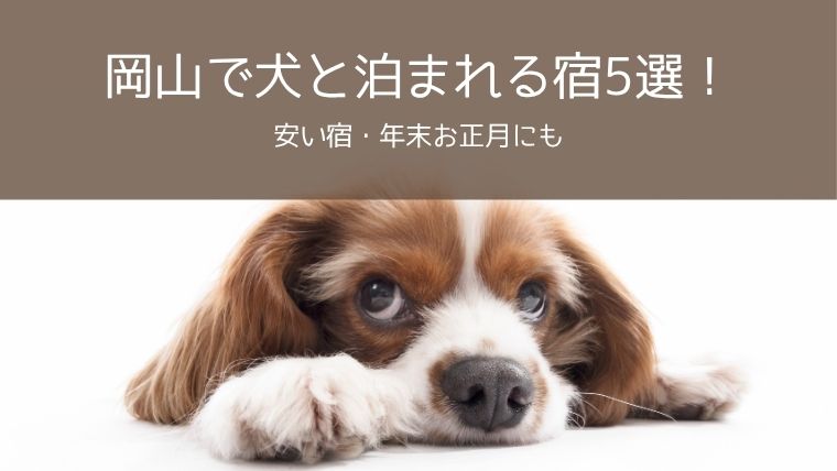 岡山ペットと泊まれる宿・安い・年末お正月も