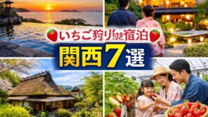 いちご狩り付き宿泊関西