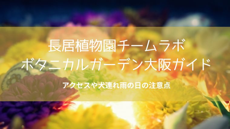 長居植物公園チームラボ大阪アクセス